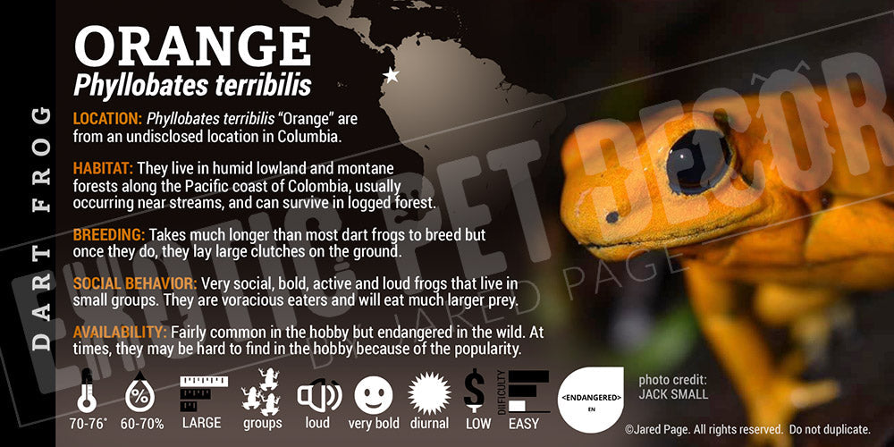 Phyllobates terribilis 'Orange' Dart Frog Label