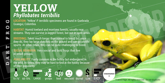 Phyllobates terribilis 'Yellow' Dart Frog Label