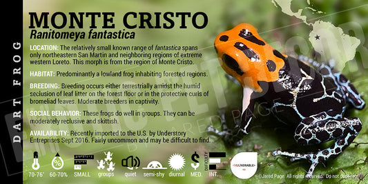 Ranitomeya fantastica 'Monte Cristo' Card