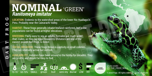 Ranitomeya imitator 'Nominal Green' Card