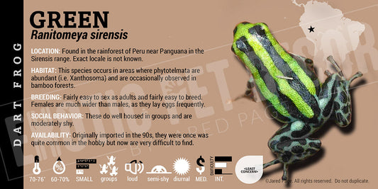 Ranitomeya sirensis 'Green' Card