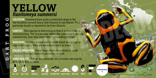 Ranitomeya summersi 'Yellow' Card