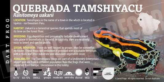 Ranitomeya uakarii 'Quebrada Tamshiyacu' Card