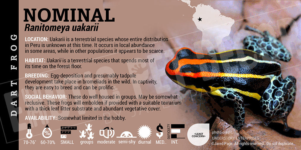 Ranitomeya uakarii 'Nominal' Card